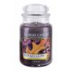 Yankee Candle Autumn Glow Świeczka zapachowa 623 g