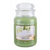 Yankee Candle Vanilla Lime Świeczka zapachowa 623 g