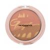 Dermacol Bronzing And Highlighting Powder With Blush Bronzer dla kobiet 10,5 g