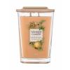 Yankee Candle Elevation Collection Tonka Bean &amp; Pumpkin Świeczka zapachowa 552 g