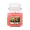 Yankee Candle The Last Paradise Świeczka zapachowa 411 g