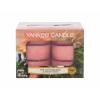 Yankee Candle The Last Paradise Świeczka zapachowa 117,6 g