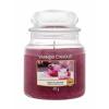 Yankee Candle Sweet Plum Sake Świeczka zapachowa 411 g