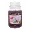 Yankee Candle Berry Mochi Świeczka zapachowa 623 g