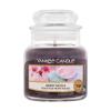 Yankee Candle Berry Mochi Świeczka zapachowa 104 g