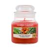 Yankee Candle The Last Paradise Świeczka zapachowa 104 g