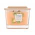 Yankee Candle Elevation Collection Tonka Bean & Pumpkin Świeczka zapachowa 347 g